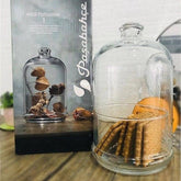 PAŞABAHÇE MIDDI PATISSERIE  FOOTED FANUS